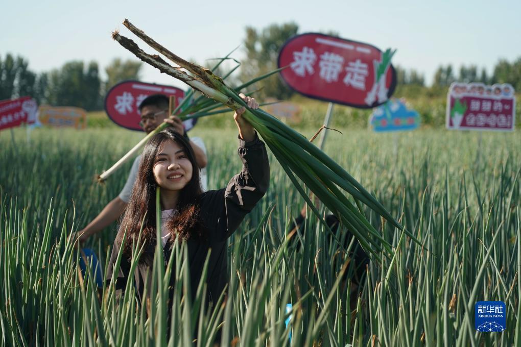澳门棋牌热门